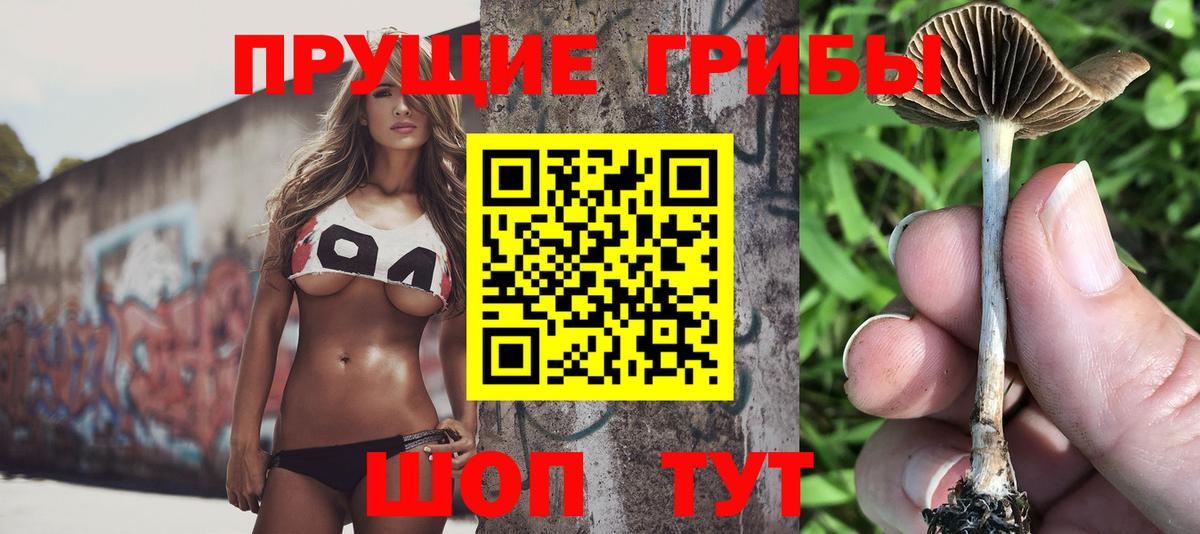 Псилоцибиновые грибы MAGIC MUSHROOMS Минеральные Воды