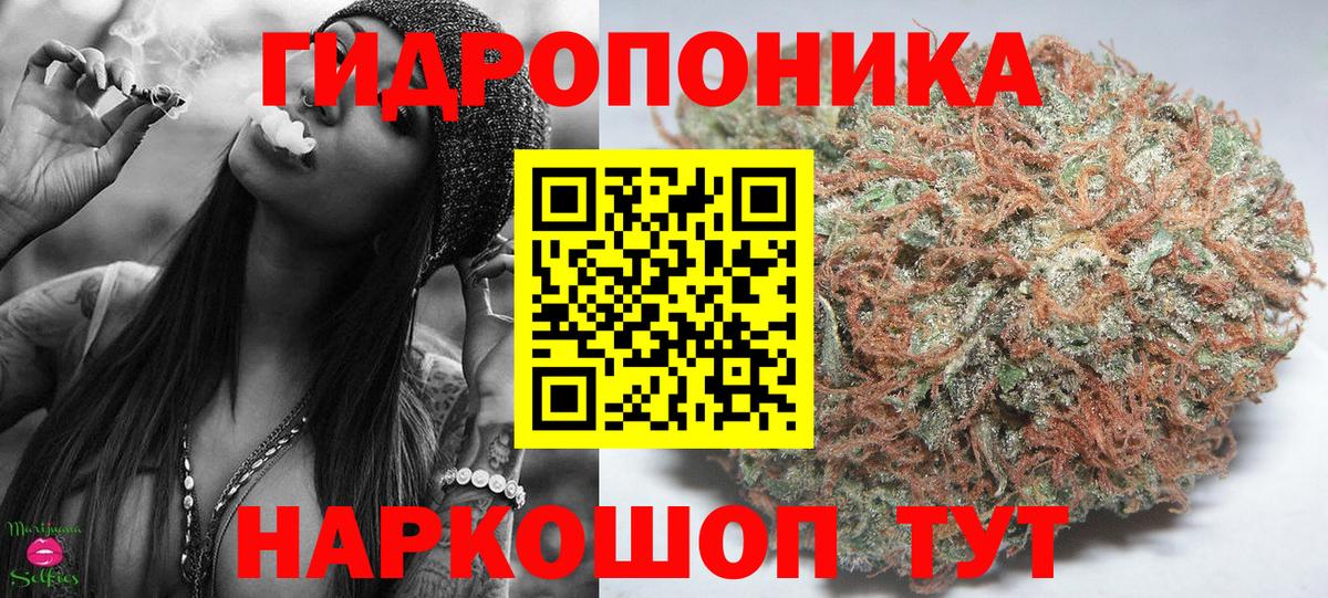 Минеральные Воды  Бошки марихуана семена  Шишки марихуана LSD WEED  Марихуана OG Kush  Вход с VPN 